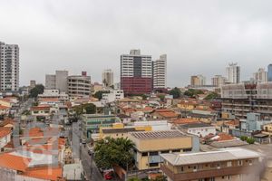 Image 10 - 333834