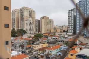 Image 11 - 333834