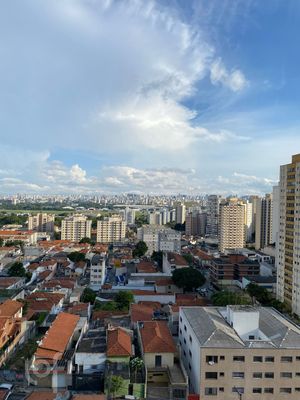 Image 25 - 334286