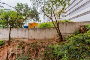 Image 43 - 334385