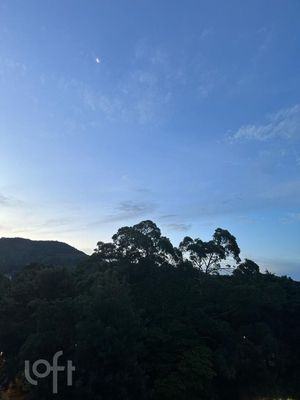 Image 24 - 334402