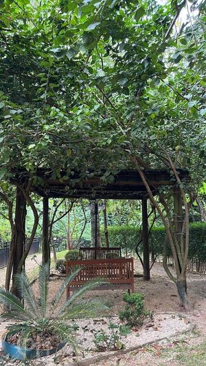 Image 18 - 334402
