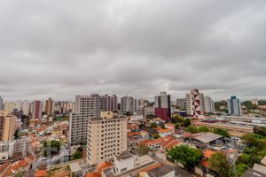 Image 13 - 334550