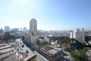 Image 25 - 334575