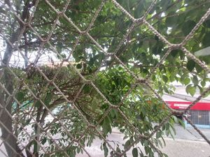 Image 5 - 334655