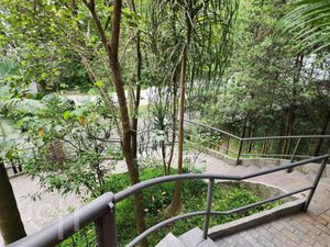 Image 17 - 335336