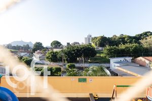Image 10 - 335597