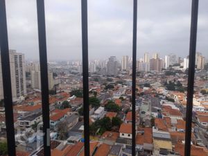 Image 5 - 336598