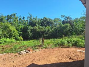 Image 25 - 337399
