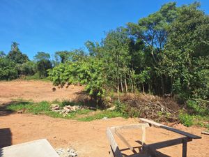 Image 26 - 337399