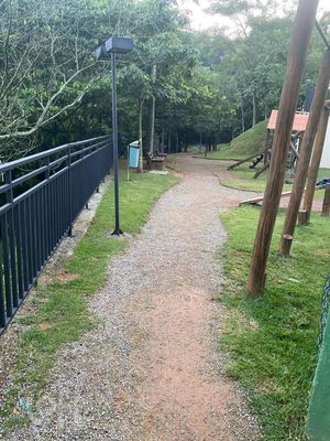 Image 10 - 337576
