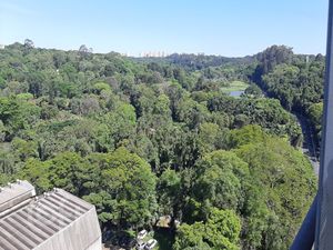 Image 15 - 337914