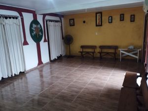 Image 16 - 337946