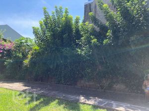 Image 18 - 338217