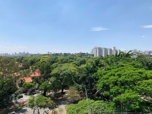 Image 7 - 338265