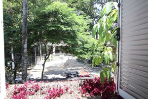 Image 11 - 338289