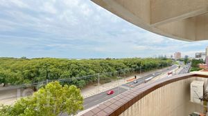 Image 27 - 338542