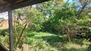 Image 2 - 338654