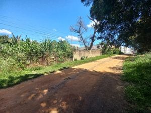 Image 7 - 338654