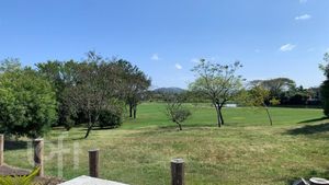 Image 11 - 338662