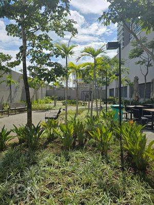 Image 70 - 338686