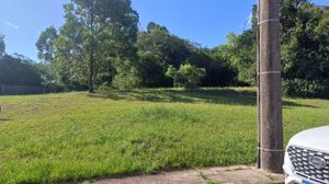 Image 3 - 338699