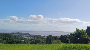 Image 4 - 338699