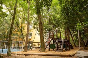 Image 20 - 338772