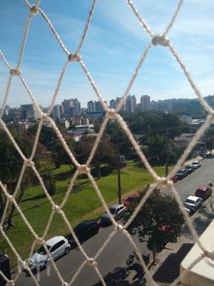 Image 19 - 338788