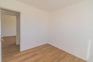 Image 13 - 338978