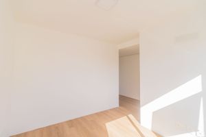 Image 16 - 338978