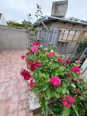 Image 13 - 340776
