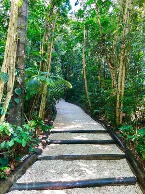 Image 17 - 343154