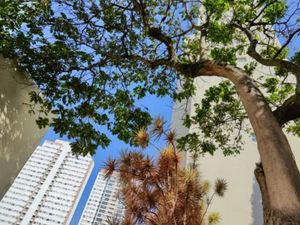 Image 15 - 345480