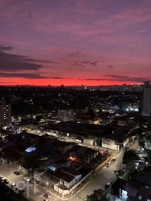 Image 19 - 346642