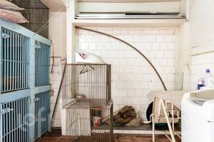 Image 17 - 347437