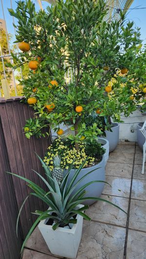 Image 6 - 3489