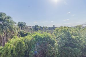 Image 51 - 352919