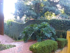 Image 19 - 353332