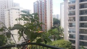 Image 4 - 353356