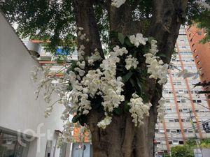 Image 27 - 353566