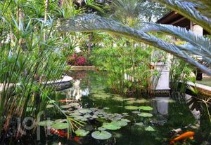 Image 15 - 354459