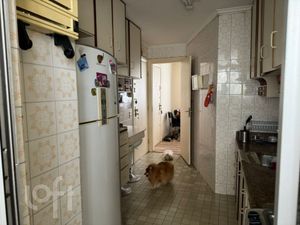 Image 13 - 355462