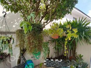 Image 38 - 355596