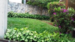 Image 14 - 355830
