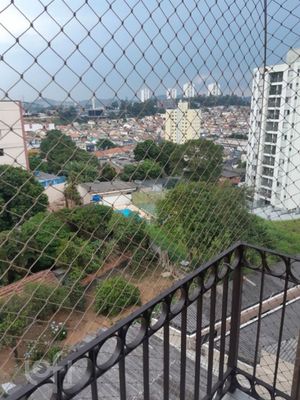 Image 14 - 362357
