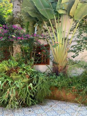 Image 13 - 363094