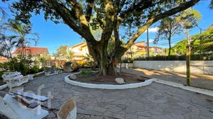 Image 37 - 367477