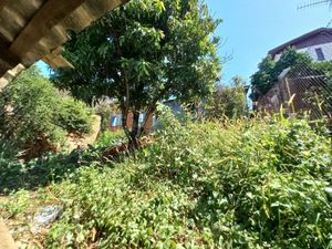 Image 5 - 370878