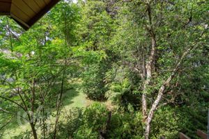Image 33 - 370945